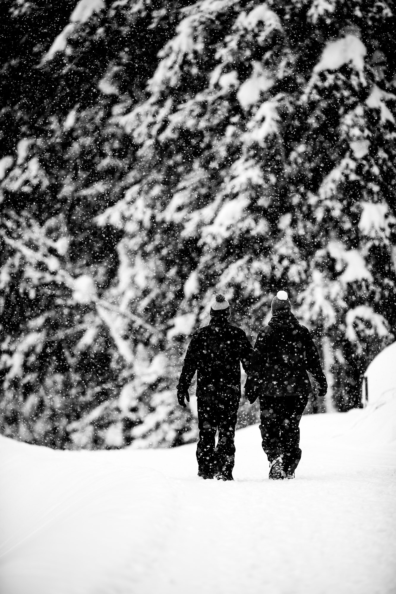 Export x3 1DX28920 Verlobungsfotoshooting 2018 Anna & Dominik 3